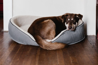 Everything About Hardwood Flooring | Wayne Maher Hardwood Flooring everything about hardwood flooring